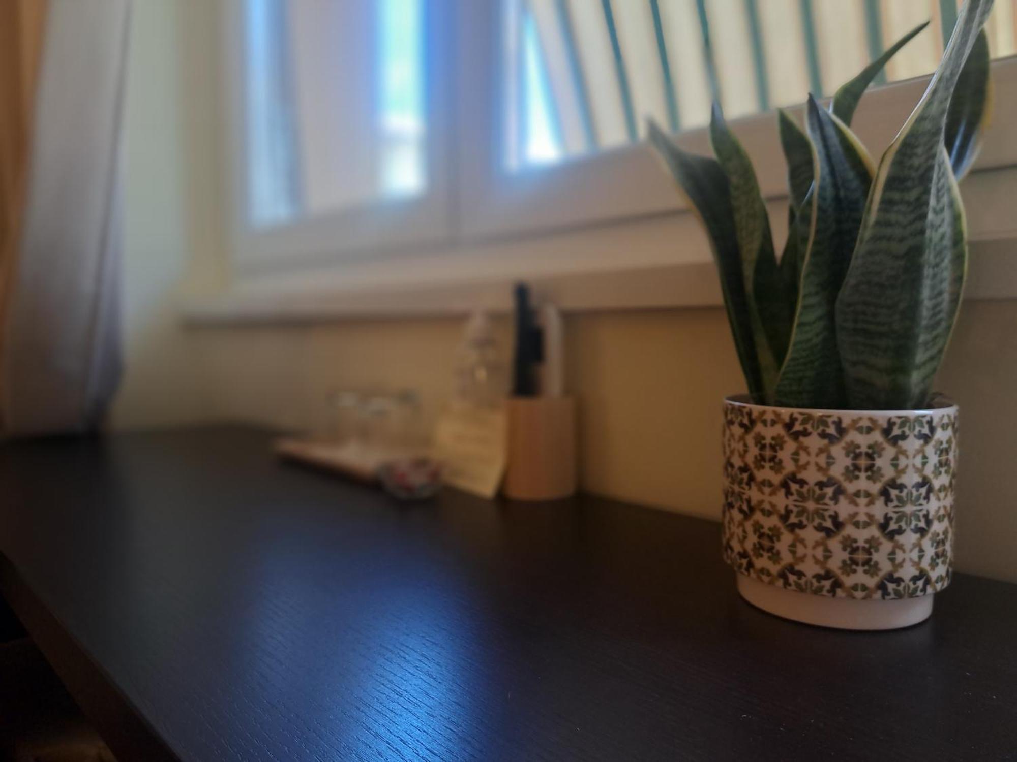 Eco B&B Marela Рим Екстер'єр фото