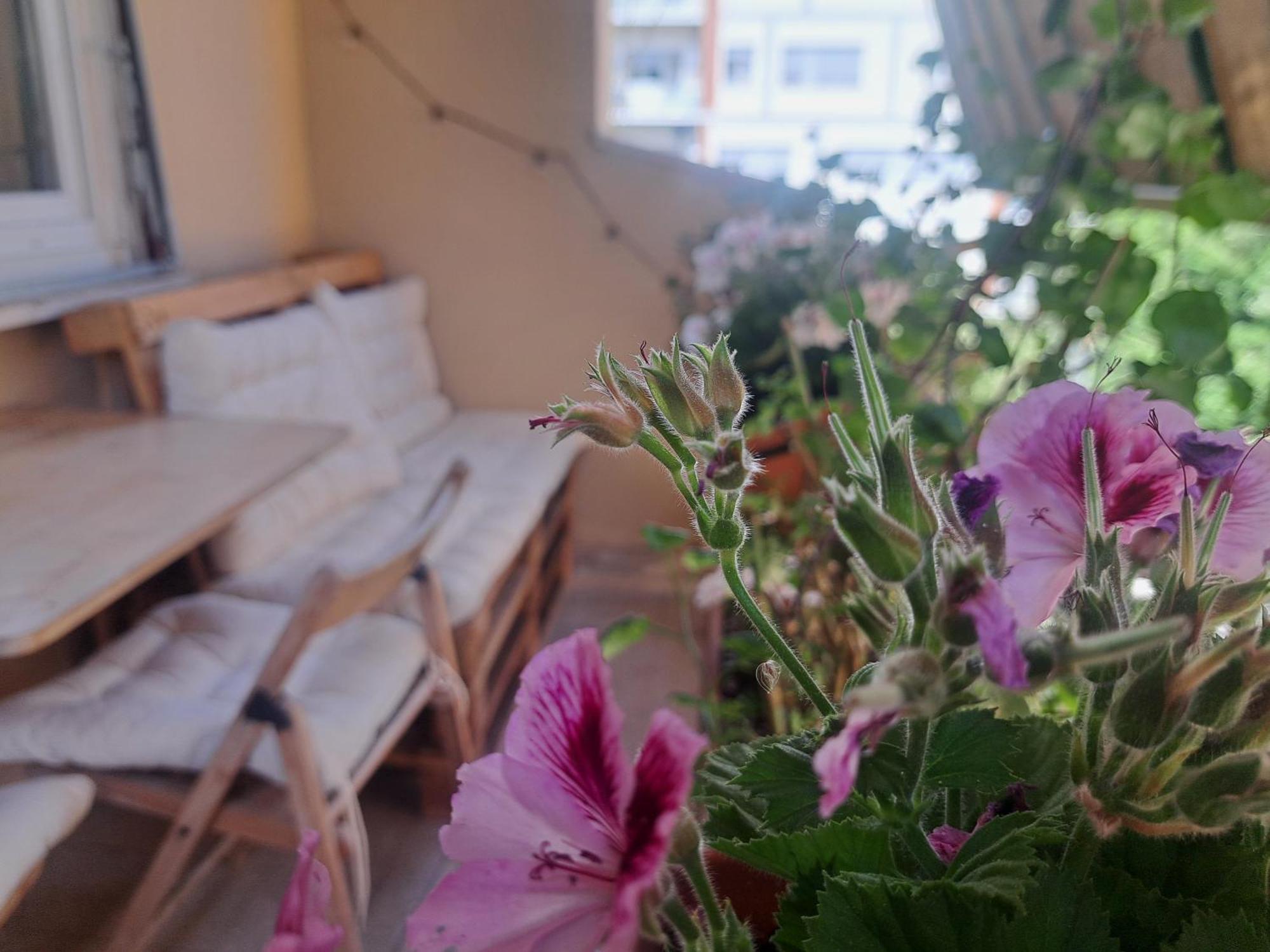 Eco B&B Marela Рим Екстер'єр фото